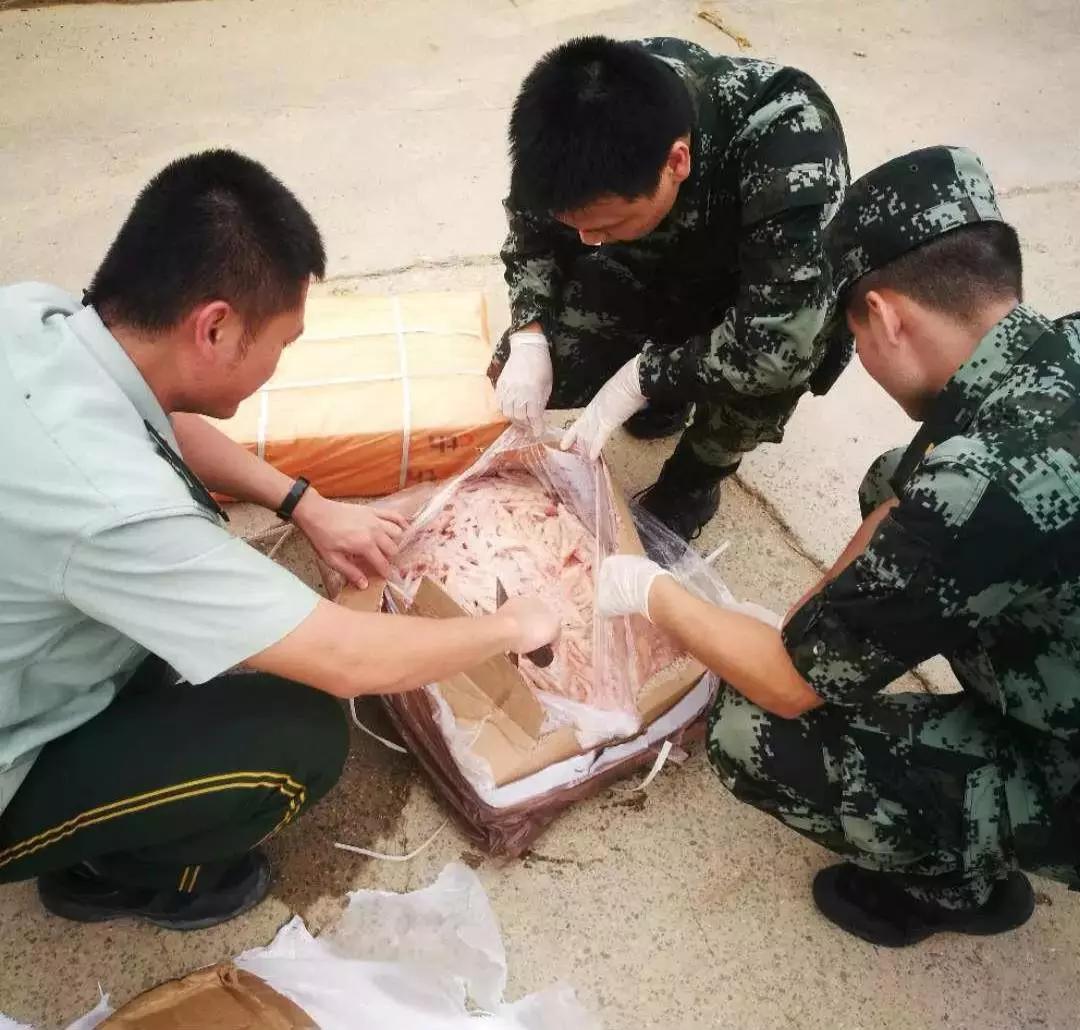 熟妇丰满多毛的大隂户