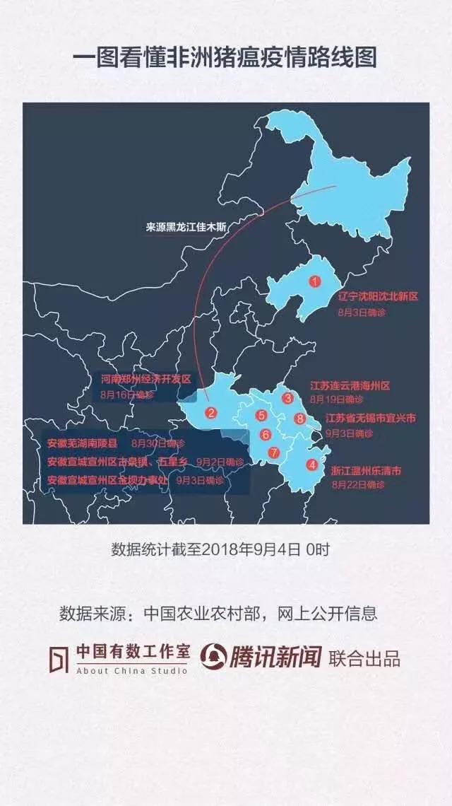 熟妇丰满多毛的大隂户