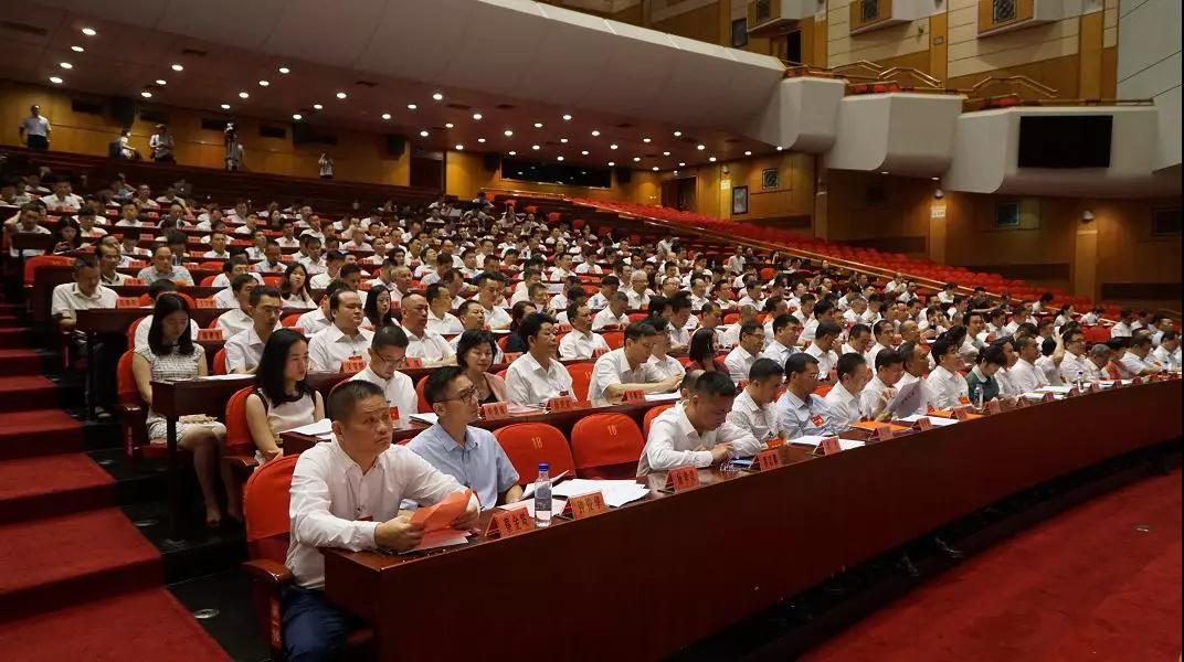 熟妇丰满多毛的大隂户