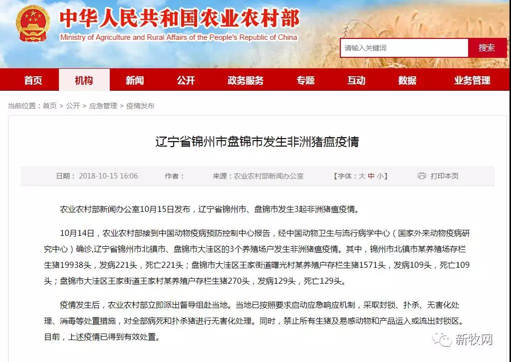 熟妇丰满多毛的大隂户