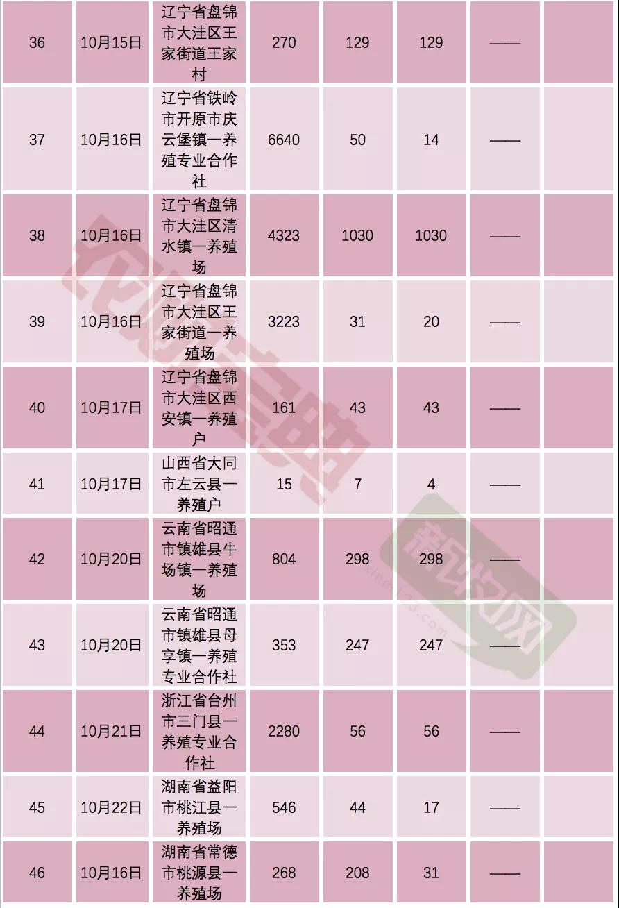 熟妇丰满多毛的大隂户