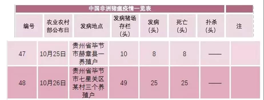 熟妇丰满多毛的大隂户