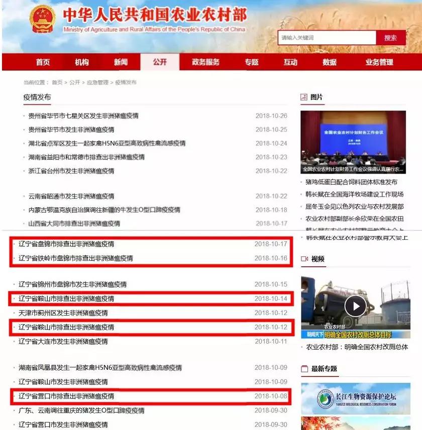 熟妇丰满多毛的大隂户