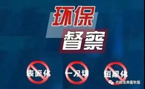 熟妇丰满多毛的大隂户