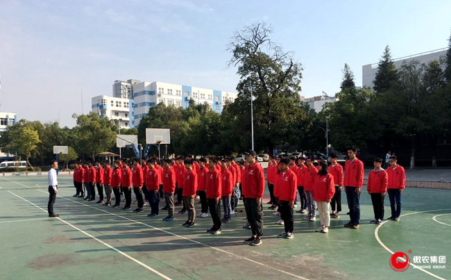 熟妇丰满多毛的大隂户