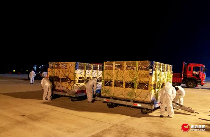 熟妇丰满多毛的大隂户