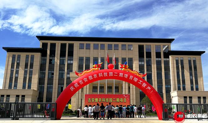 熟妇丰满多毛的大隂户