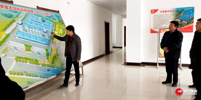 熟妇丰满多毛的大隂户