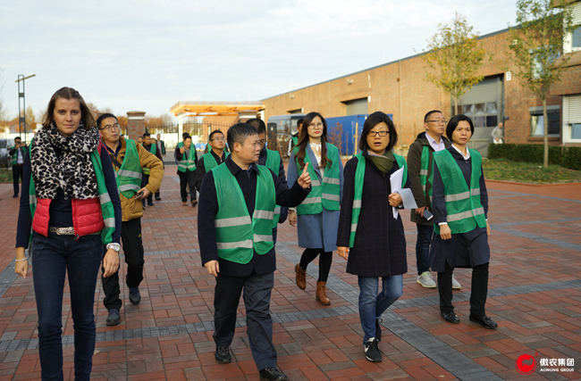 熟妇丰满多毛的大隂户