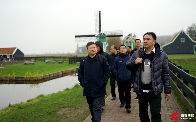 熟妇丰满多毛的大隂户