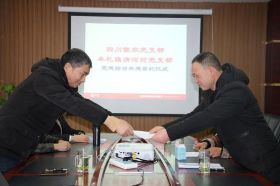 熟妇丰满多毛的大隂户