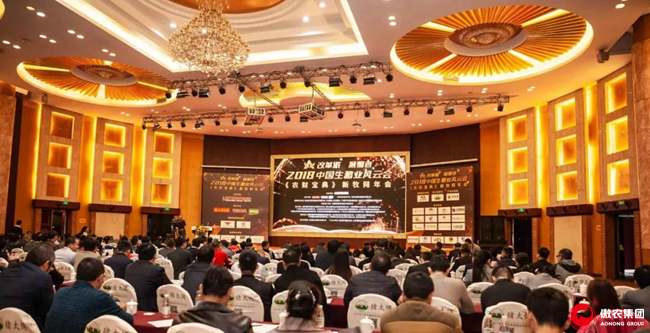 熟妇丰满多毛的大隂户