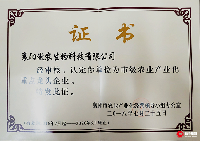 熟妇丰满多毛的大隂户