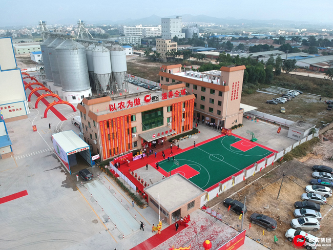 熟妇丰满多毛的大隂户