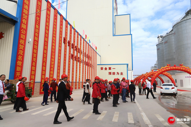 熟妇丰满多毛的大隂户