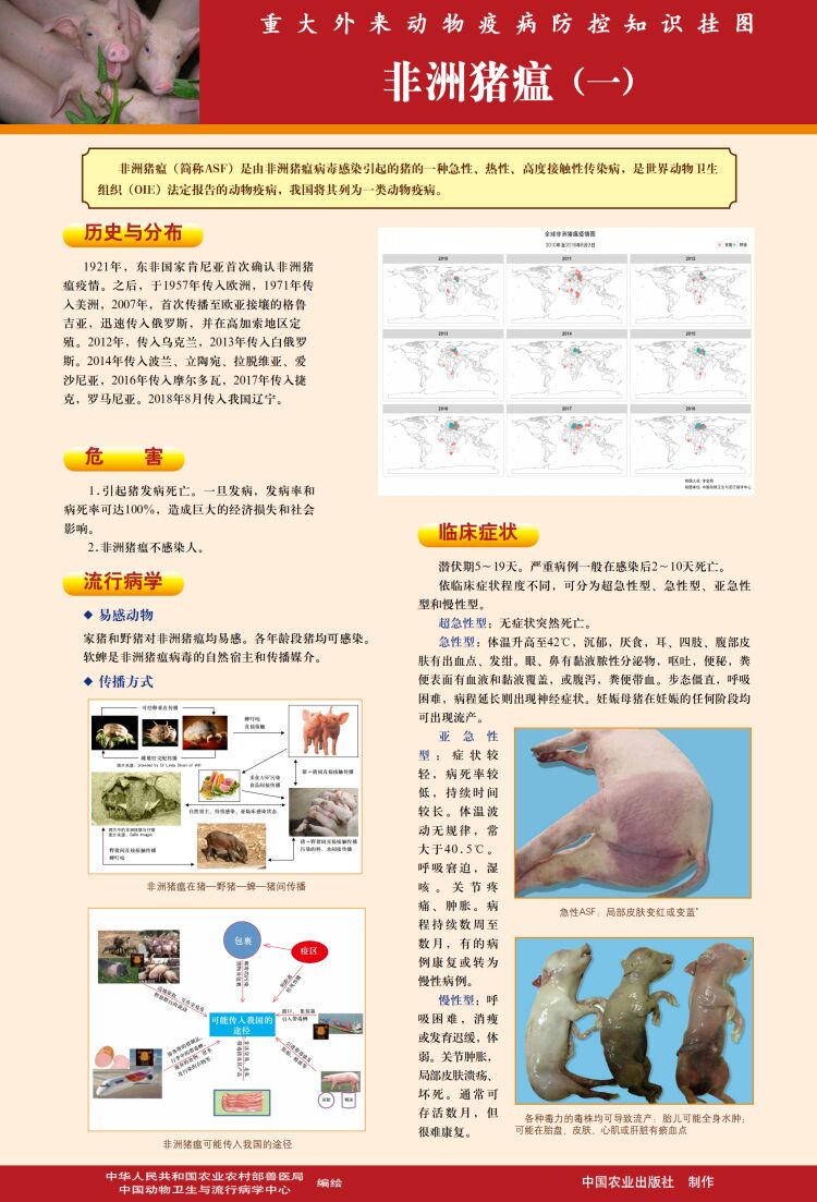 熟妇丰满多毛的大隂户