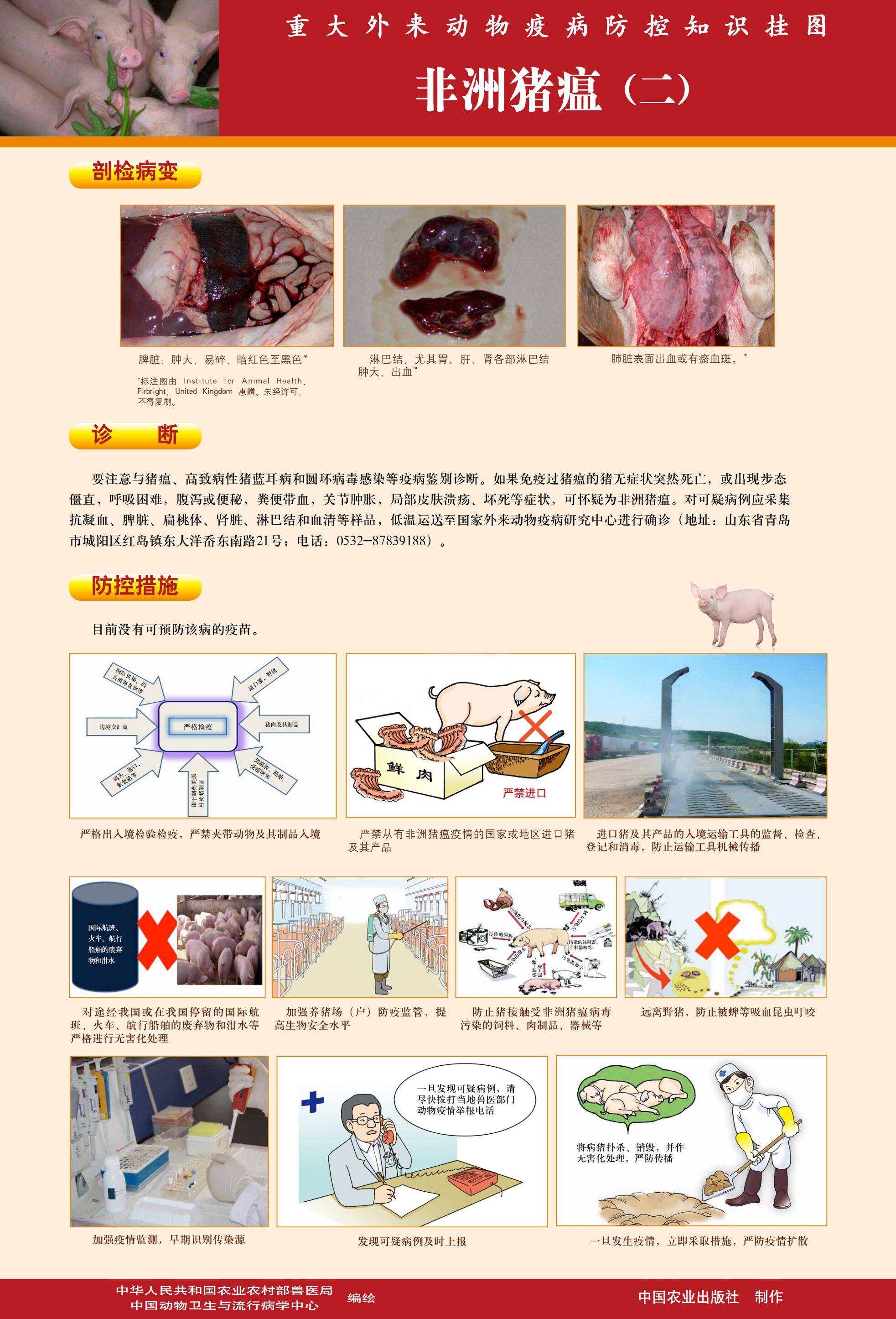 熟妇丰满多毛的大隂户