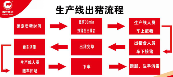 熟妇丰满多毛的大隂户