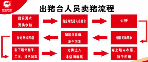 熟妇丰满多毛的大隂户