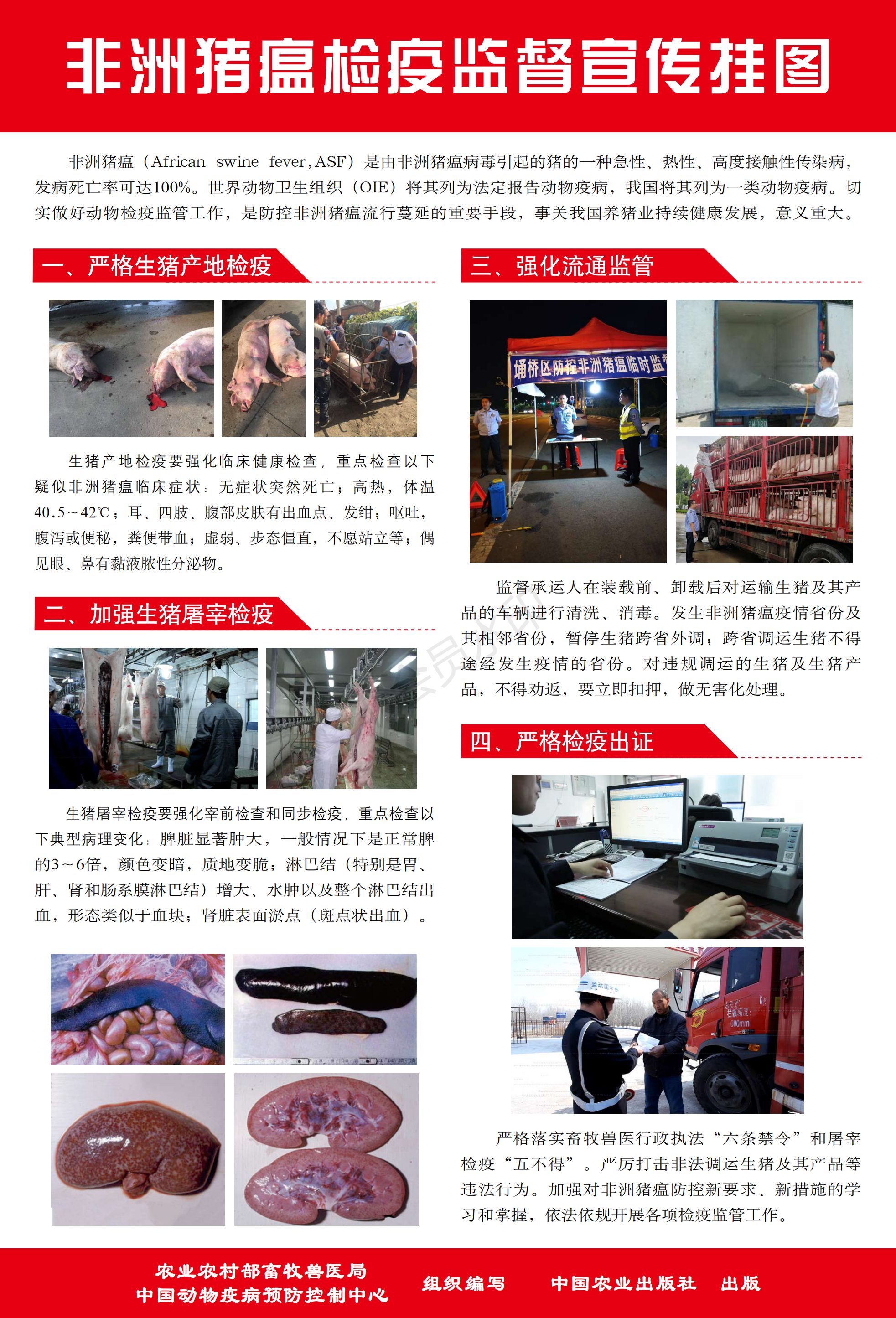 熟妇丰满多毛的大隂户