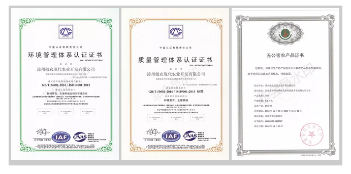 熟妇丰满多毛的大隂户