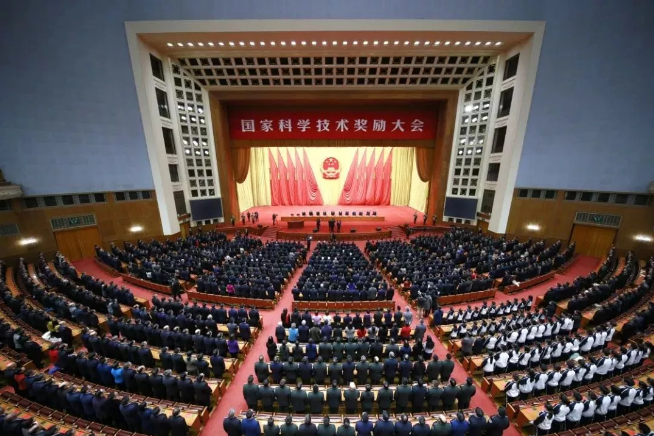 熟妇丰满多毛的大隂户