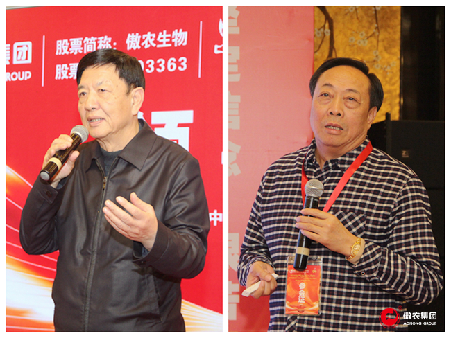 熟妇丰满多毛的大隂户