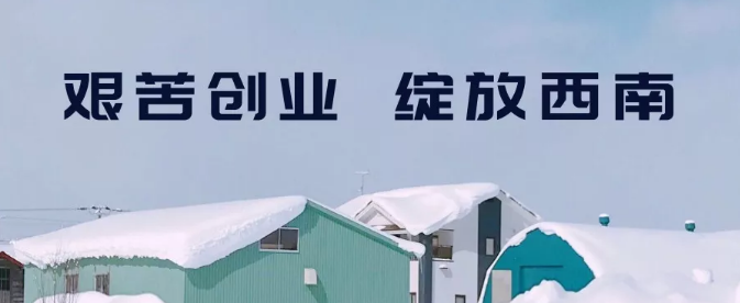 熟妇丰满多毛的大隂户