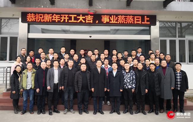 熟妇丰满多毛的大隂户