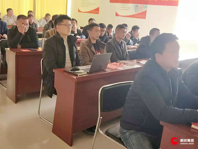 熟妇丰满多毛的大隂户