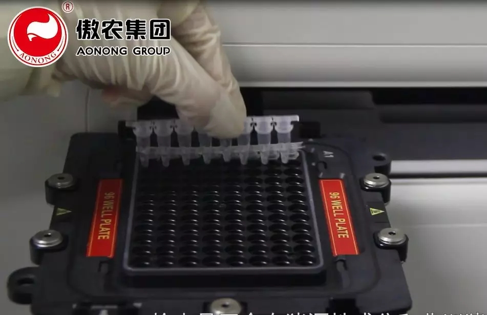 熟妇丰满多毛的大隂户