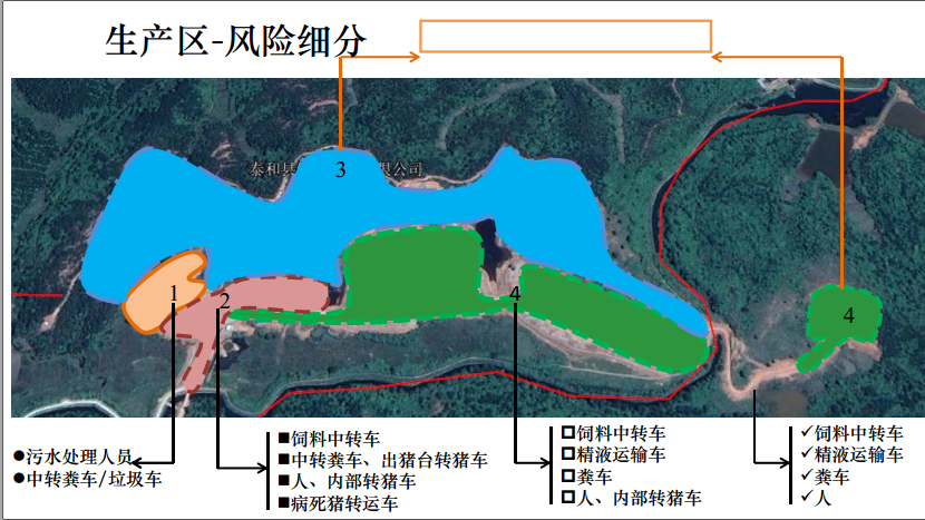 熟妇丰满多毛的大隂户