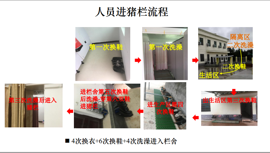 熟妇丰满多毛的大隂户
