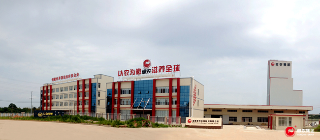 熟妇丰满多毛的大隂户