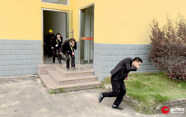 熟妇丰满多毛的大隂户