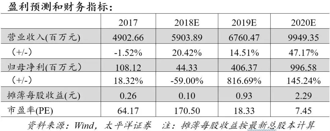 熟妇丰满多毛的大隂户