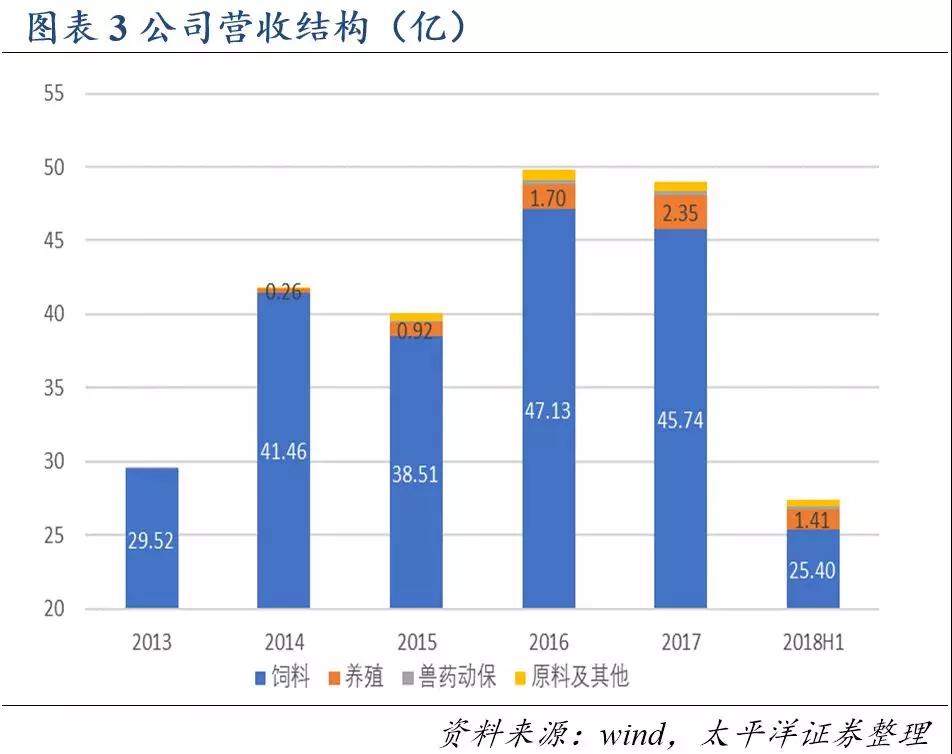 熟妇丰满多毛的大隂户