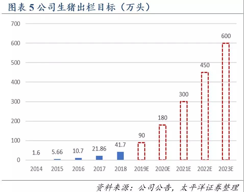 熟妇丰满多毛的大隂户