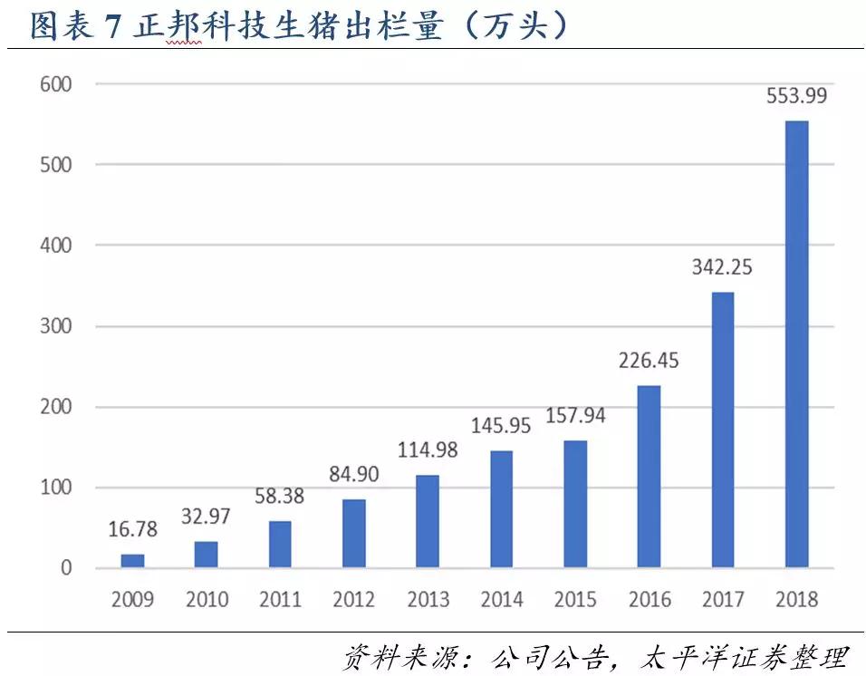 熟妇丰满多毛的大隂户