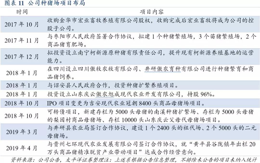 熟妇丰满多毛的大隂户