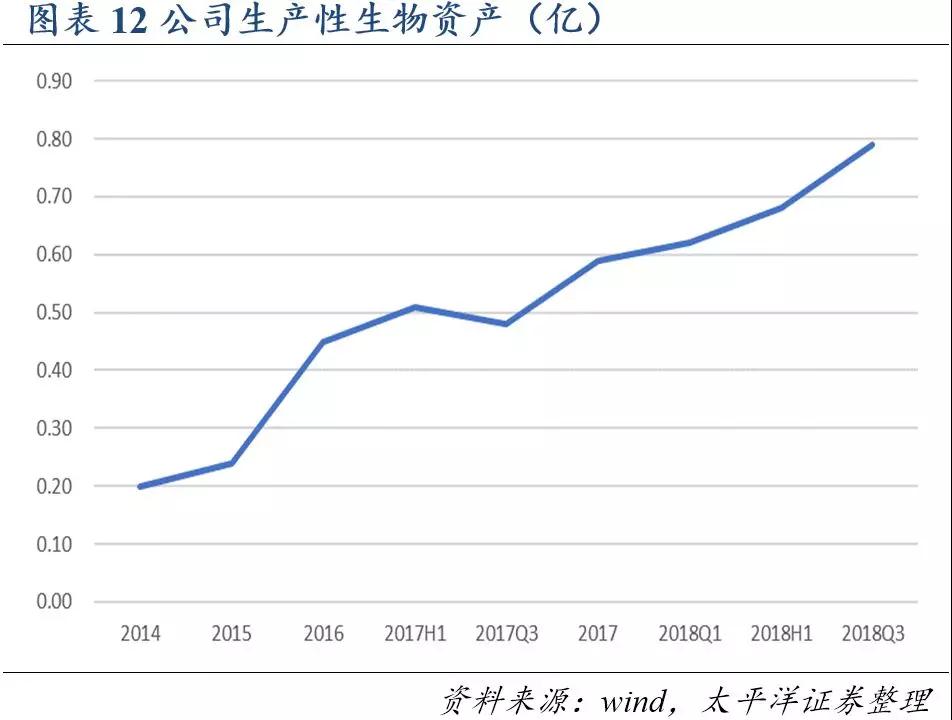 熟妇丰满多毛的大隂户