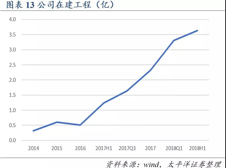 熟妇丰满多毛的大隂户