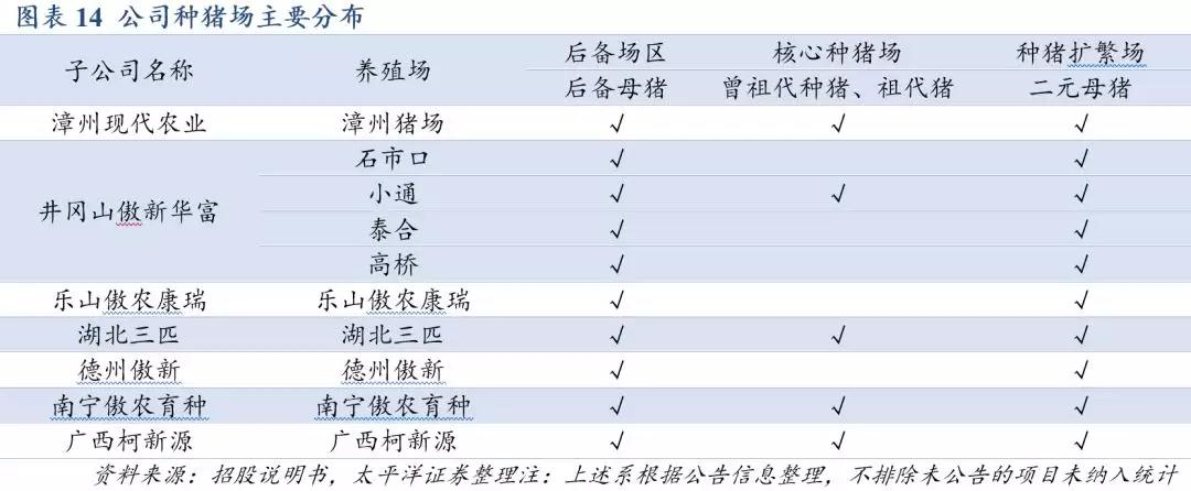 熟妇丰满多毛的大隂户