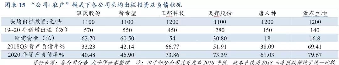 熟妇丰满多毛的大隂户