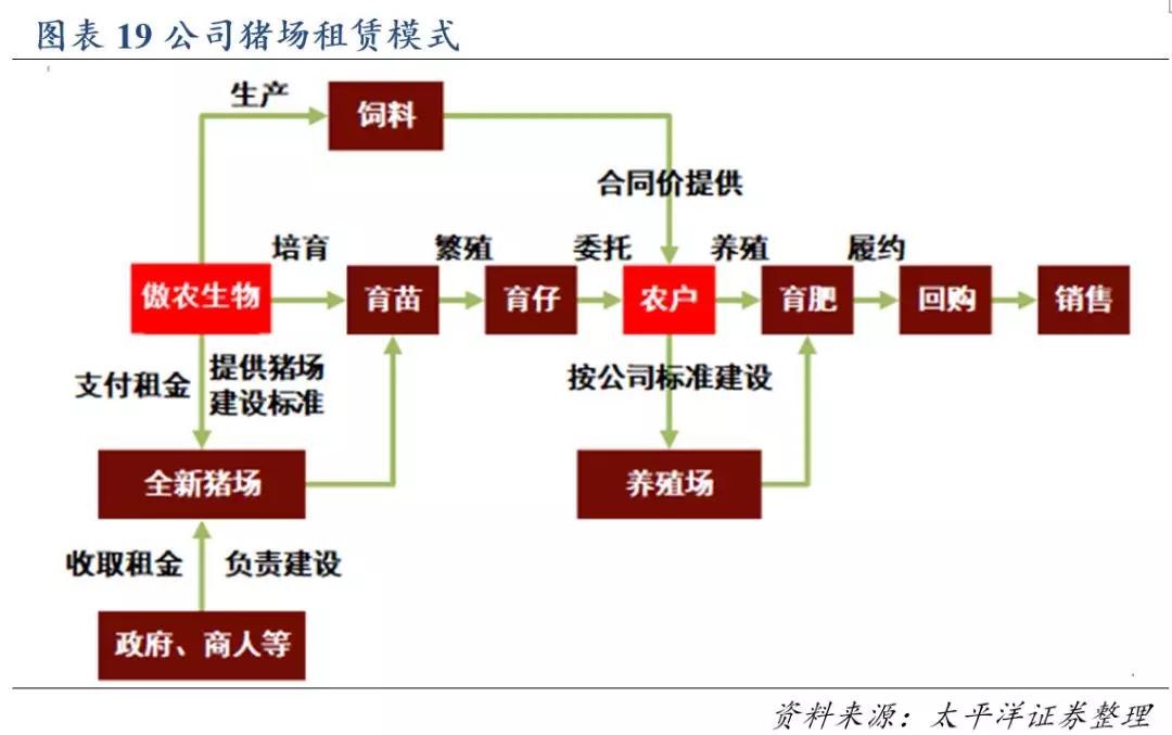 熟妇丰满多毛的大隂户