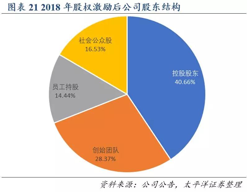 熟妇丰满多毛的大隂户