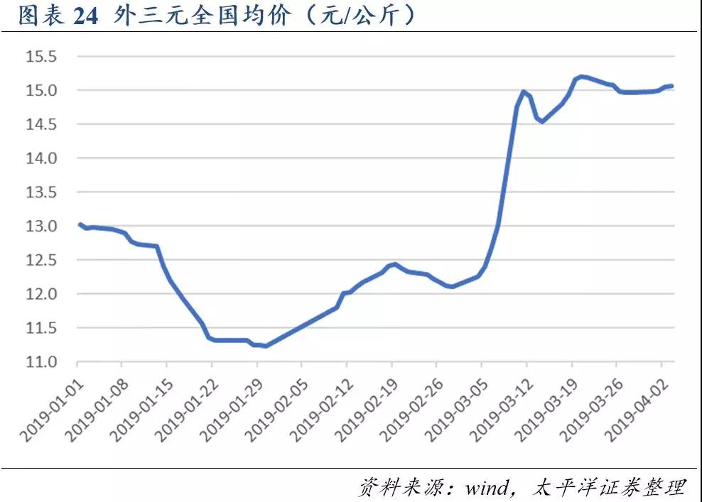 熟妇丰满多毛的大隂户