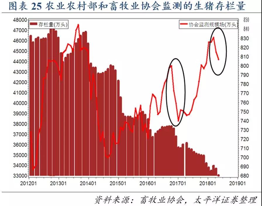 熟妇丰满多毛的大隂户