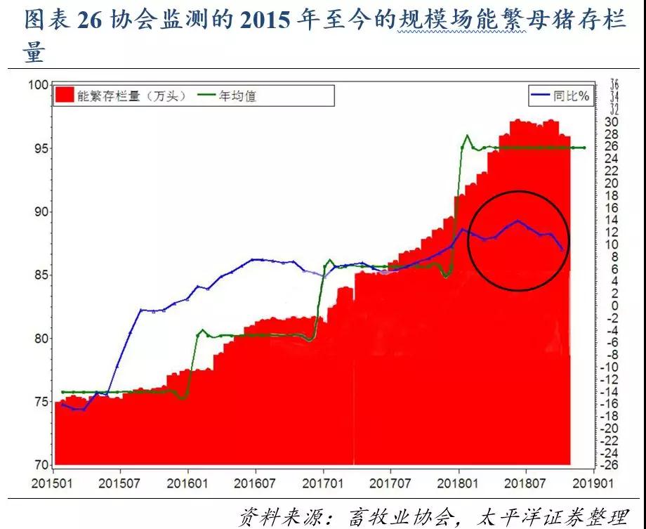 熟妇丰满多毛的大隂户