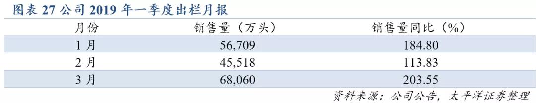 熟妇丰满多毛的大隂户